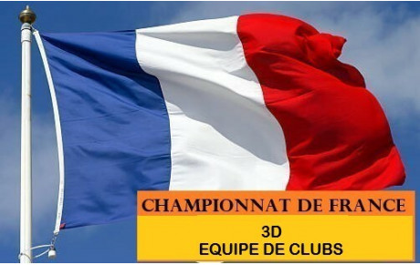 Championnat de France 3D / équipe de clubs