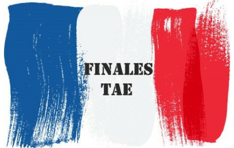 FRANCE TAE