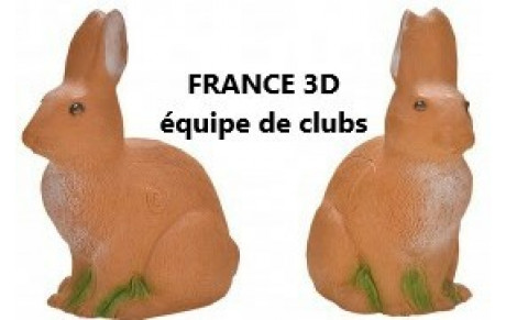 FRANCE 3D équipe de clubs